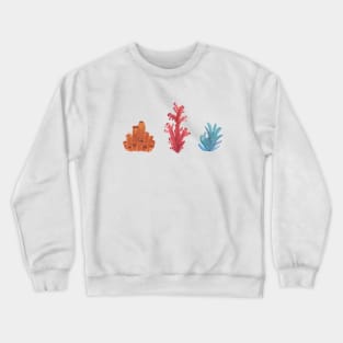 Coral Crewneck Sweatshirt